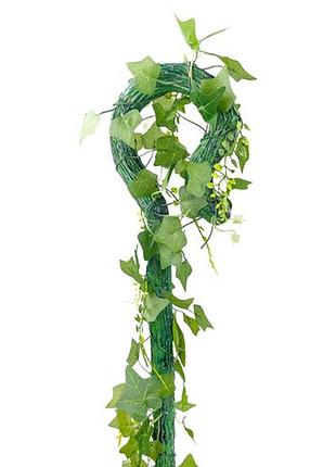 Тростина ядовитий плющ