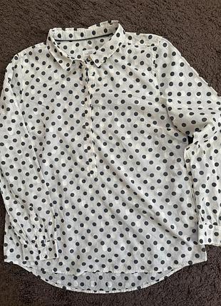 Блуза подовжена жіноча в горох