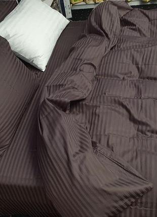 Сатин stripe elite, chocolate 1/1см (євро)