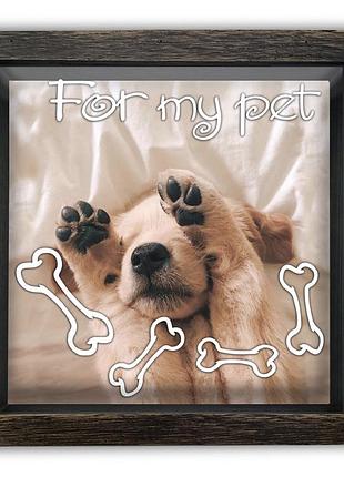 Деревянная копилка 20х20 см for my pet хркп0004ква тур-колекшн