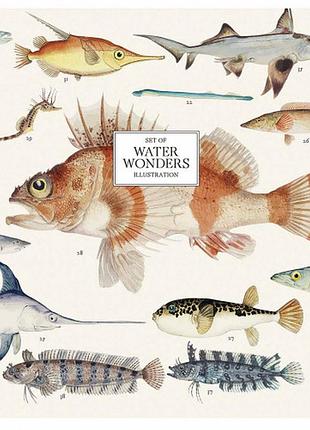 Зошит 48 аркушів лінія школярик 048-2901l