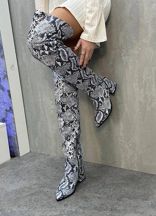 Жіночі ботфорти ексклюзив пітон із натуральної шкіри victoria