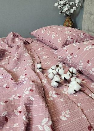 Вербена рожевий, gofre (євро)