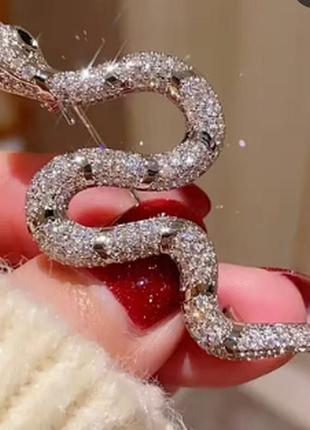 Брошка сріблястого кольору у вигляді змеї