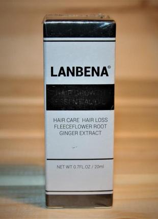 Масло для росту волосся від lanbena hair growth essencial oil
