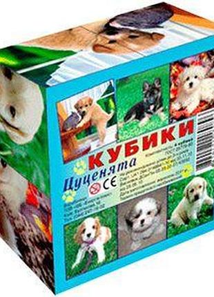 Кубики щенка,4 кубика,80896