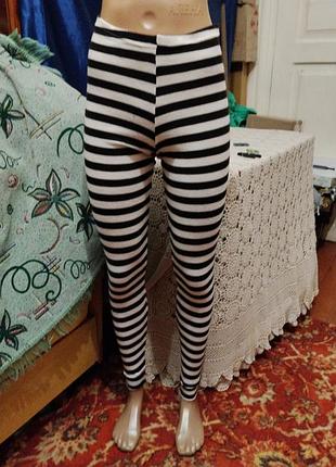 Лосины полоска