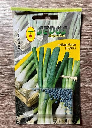 Цибуля-батун п'єро тм sedos 100 шт
