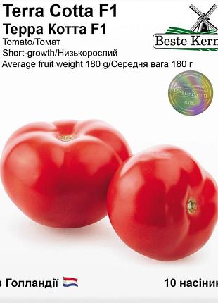 Насіння томата терра коттаf1; (10 шт.), тм beste kern