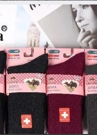 Шкарпетки жіночі 37-41