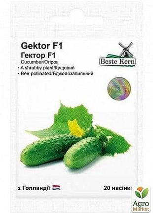 Огірок гектор f1 тм beste kern 20шт