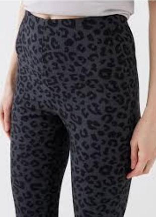 Лосіни для спорту фітнесу спортзалу s, m