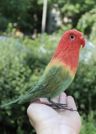 Неразлучник папуга іграшка валяна з шерсті інтерєрний попугай войлочний войлочный попугайчик игрушка валяний подарунок сувенір мягка іграшка