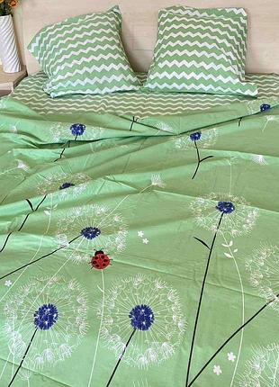 Постельное белье бязь степь-зигзаг салатовое двуспальный евро