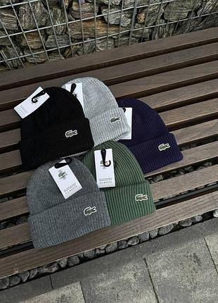 😻шапка lacoste
