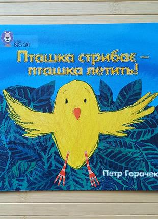 Пташка стрибає – пташка летить петр горачек 3198