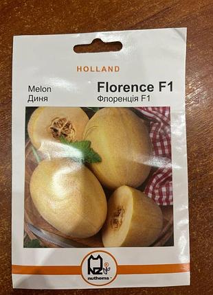 Семена дыня флоренция holland 3 г