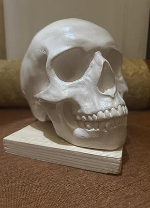 Череп людський лакерований декор white ost handmade