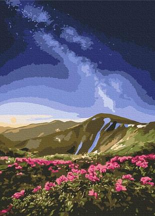 Чорногора cotoksolana baran