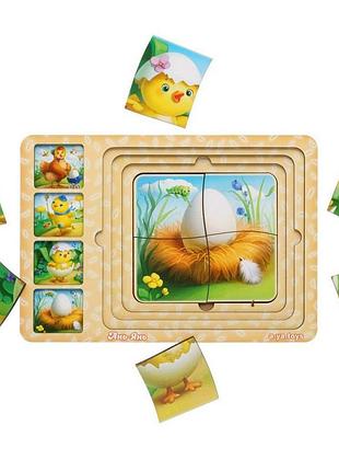 Деревянная настольная игра "этапы развития курочки" ubumblebees (псф018) psf018 сортер-пазл