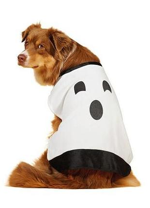 Карнавальный костюм на хэллоуин для собаки