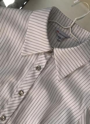 Сорочка, сорочка, блуза