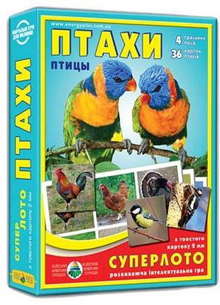 Игра "супер лото. птицы"