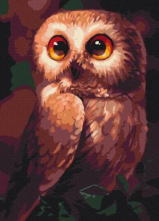Любопытная сова