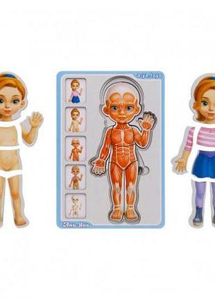 Сортер- пазл "анатомия человека. девочка"