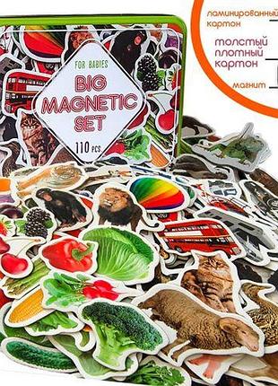 Набор магнитов "ассорти", 110 шт (ml4031-63 en)