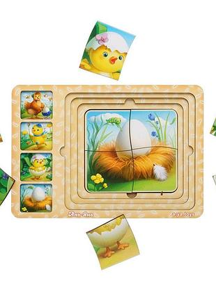 Сортер-пазл "этапы развития курочки" (псф018)