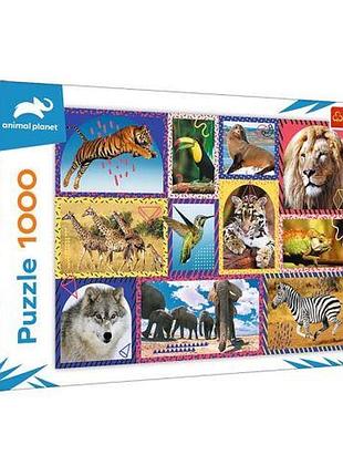 Пазли "дика природа", 1000 элем.