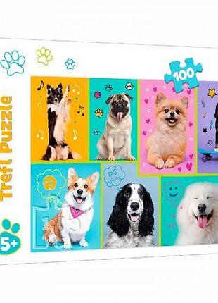 Пазлы "забавные щенята", 100 элем.