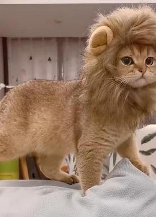 Шапка для домашних животных лев s коричневый