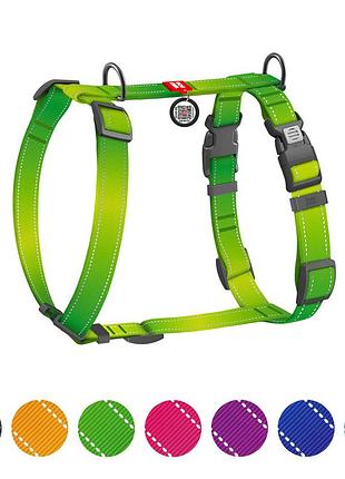 Шлея для собак анатомическая h-образная waudog nylon mono с qr-паспортом, светоотражающая, пластиковый