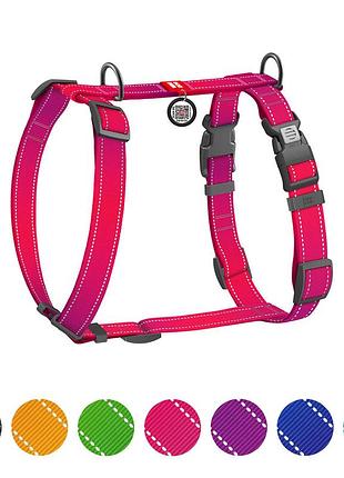 Шлея для собак анатомическая h-образная waudog nylon mono с qr-паспортом, светоотражающая, пластиковый