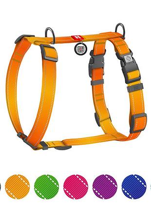 Шлея для собак анатомическая h-образная waudog nylon mono с qr-паспортом, светоотражающая, пластиковый фастекс, l, ш 25 мм, а