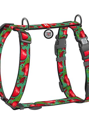 Шлея для собак анатомическая h-образная waudog nylon с qr-паспортом, рисунок "гранаты", пластиковый фастекс,