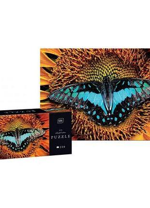 Пазлы "знаки зодиака: бабочка" (250 элем)