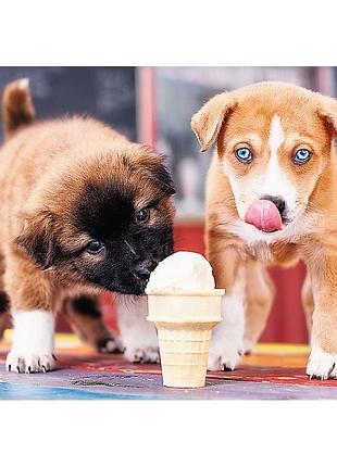 Пазли trefl 500 елементів час для морозива 37272