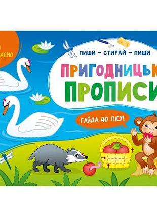 Прописи "пиши-стирай: пригодницькі прописи" (укр)