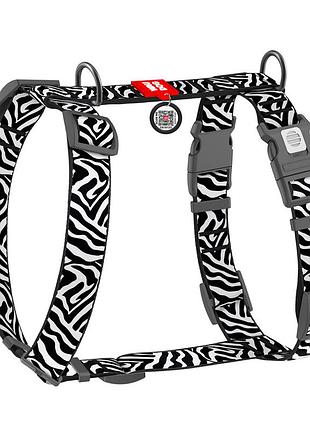 Шлея для собак анатомическая h-образная waudog nylon с qr-паспортом, рисунок "зебра", пластиковый фастекс, xl,