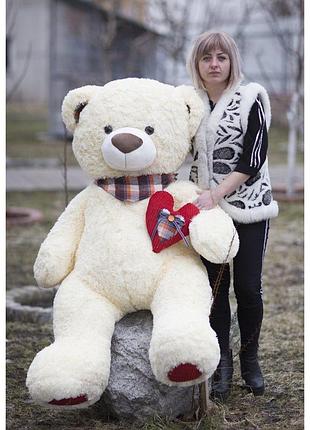 М'яка іграшка "ведмедик тоша" 3/1 молочний 00020