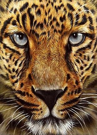 Алмазная мозаика без подрамника "гепард" jsdf79613 30х40 см