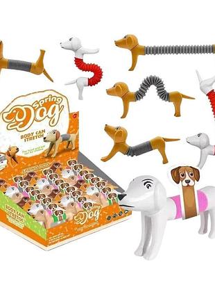 Антистресс собака