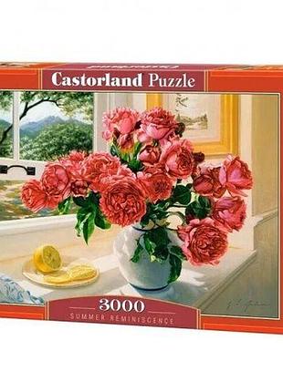 Пазл castorland 3000