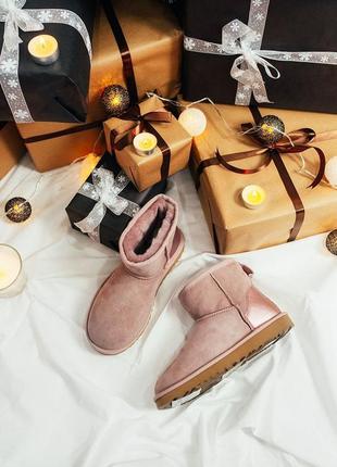 Ugg w classic mini pink🆕 шикарні жіночі уггі 🆕 купити накладений платіж