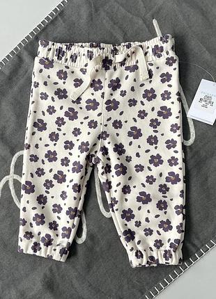 Штани фірми primark