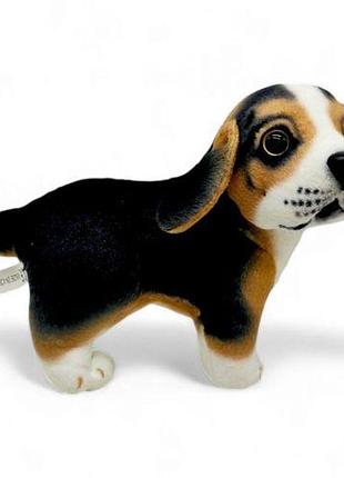 Мягкая игрушка "песик. бигль", 24 см