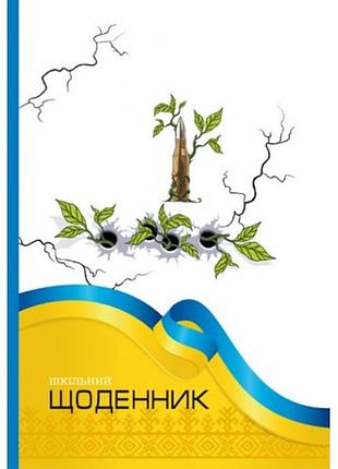 Щоденник шкільний b5 24047 40 аркушів мандарин